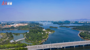 6.gif